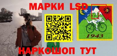 дурь Кингисепп